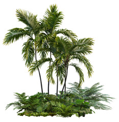 3D render tropical botanical garden and palm trees on transparent background