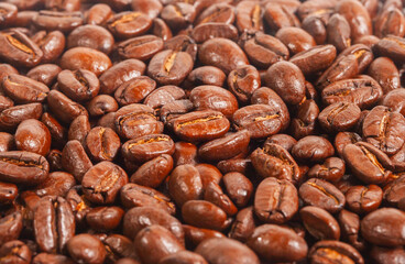 Full screen view, close up of a collection of roasted coffee beans, for background, illustration and pattern design.