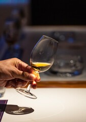 Wine tasting meeting scene goblet close-up