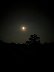 night sky with moon photo