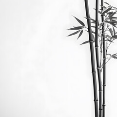modern 2D doodle cartoon flower concept with open space for text, featuring whimsical floral and leafy elements on crisp white backgrounds.