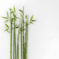 modern 2D doodle cartoon flower concept with open space for text, featuring whimsical floral and leafy elements on crisp white backgrounds.