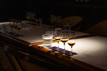 Wine tasting meeting scene goblet close-up