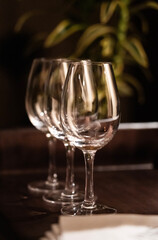 Wine tasting meeting scene goblet close-up