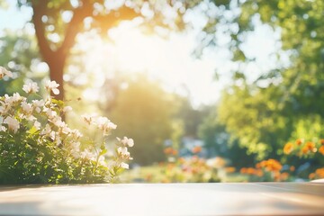 Sunny Outdoor Dining Table Surrounded by Nature