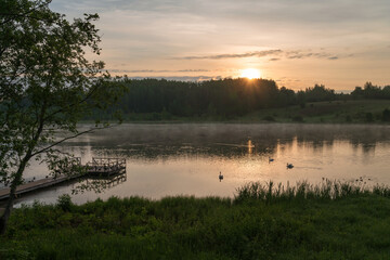 View of Gorodishchenskoe Lake with waterfowl in the Izborsko-Malskaya Valley on a sunny summer morning, Izborsk, Pechersk district, Pskov region, Russia