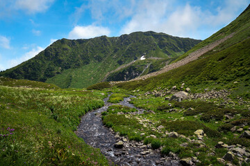 The valley of the Malaya Dukka River on the slopes of the Arkasar ridge in the North Caucasus and the tourist trail to the Dukka Lakes on a sunny summer day, Arkhyz, Karachay-Cherkessia, Russia © Ula Ulachka