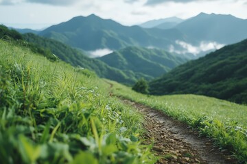 Fototapeta premium Serene Mountain Path: A Journey Through Verdant Hills and Misty Peaks.