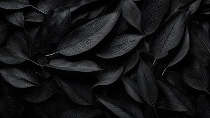 Fototapeta premium A close up of black leaves with a dark background