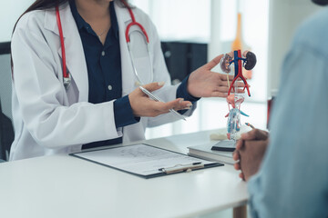 Doctor explaining urinary system to patient 