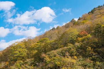 紅葉真っ盛りの群馬県の山々