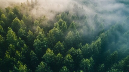 Fototapeta premium Carbon Credits and Emissions Reduction Strategies