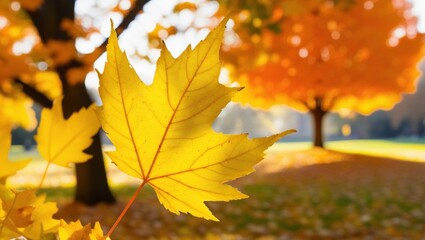 Fototapeta premium Close-Up of a Yellow Autumn Leaf: Golden October Colors with a Bright Orange Tree and Warm Bokeh Background