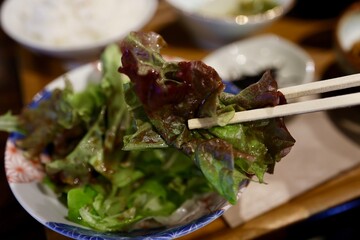 サニーレタスのサラダ