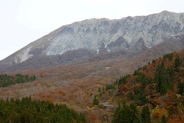 鳥取県の鍵掛峠から見た晩秋の紅葉した大山