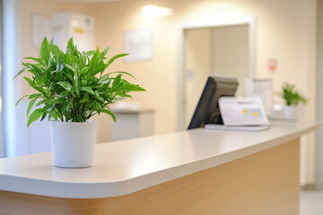 Reception desk in a primary care office with a friendly, welcoming setup