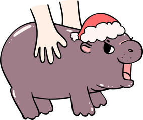 Christmas baby pygmy hippo grumpy with santa hat and hand toucing