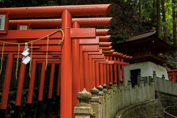 japanese garden gate in Kyoto Japan