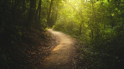 Fototapeta premium A peaceful hiking trail winding through a dense forest, Sunlight filtering through leafy canopies, Nature hike style
