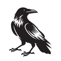 crow image - vector image of crow silhouette - bird flying 