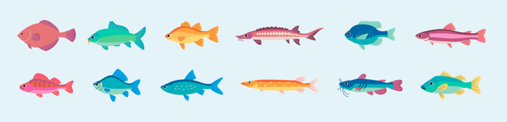 Set of Freshwater Fish Illustrations.