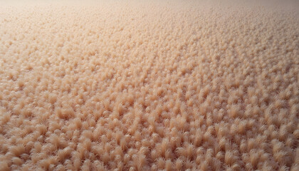 Bristly carpet texture with soft lighting and natural colors for interior decoration
