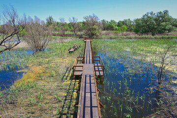 Suspension walking bridge over a flooded area in the Astrakhan Nature Reserve
