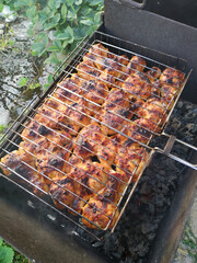 Uruguayan grill with a cut of beef kidney meat