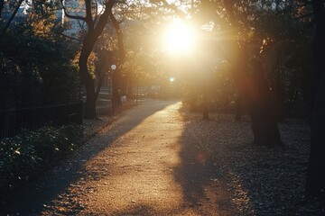 Obraz premium A path through a park with the sun setting in the background.