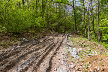 nature park , a walk along the riverbed with an overview of the stone bottom and banks
