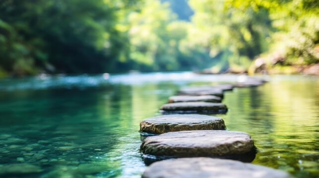 Stepping stones create a tranquil walkway over clear water, inviting exploration in a lush, green environment illuminated by soft sunlight