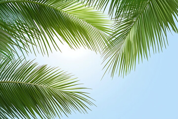 Naklejka premium Lush green palm fronds against a bright sky, creating a tropical atmosphere.