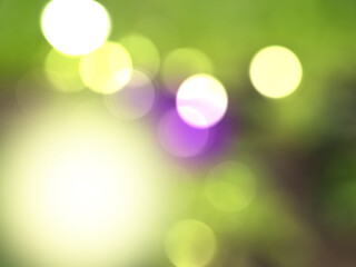 Obraz premium Blurred background green nature. white sunlight and bokeh