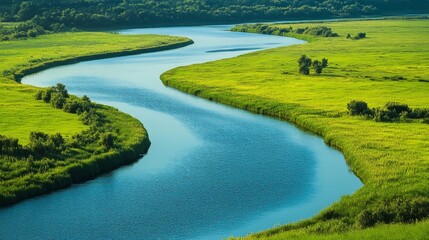 41.A panoramic shot of a winding river bordered by pure, untouched grasslands. The deep green grass stretches along the riverbank, contrasting with the shimmering blue water. The landscape feels