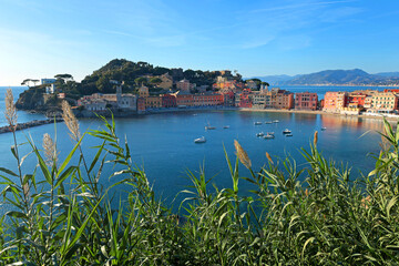 View from rock on Bay of Silence, fishing cove of the town of Sestri-Levante, Italy. Tourism and recreation. Ecologically clean nature. Traditional old buildings. Historical center.