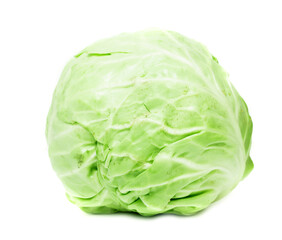 cabbage on a white background