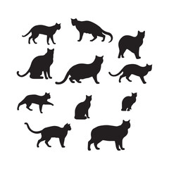 cat silhouette flat illustration