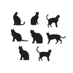 cat silhouette flat illustration