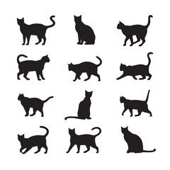 cat silhouette flat illustration