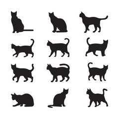 cat silhouette flat illustration