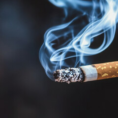 Close-Up of a Lit Cigarette with Smoke Whispers
