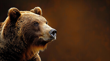 Fototapeta premium Majestic Brown Bear Portrait with Textured Fur and Captivating Expression Against a Warm Background in a Natural Habitat Setting