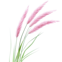 A bunch of pink grass with a white background