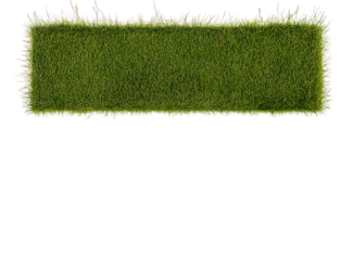 rasen gras wiese panorama - freigestellt auf weißem hintergrund