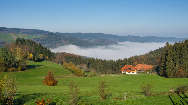 Landschaft bei Biederbach im Schwarzwald
