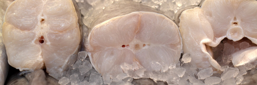 Panorama of fresh raw Conger Eel on a fishmongers stall at a market