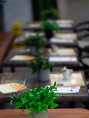 Pot plant on restaurant table with defocused tables in the background