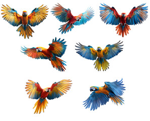 Obraz premium Colorful Macaws in Flight Against a White Background