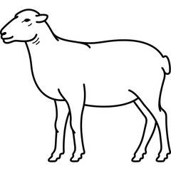 Lamb and sheep farming. Vector outline icon of sheep.