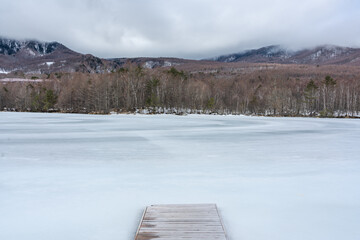 Obraz premium 凍りついた湖面の先に広がる白樺林 